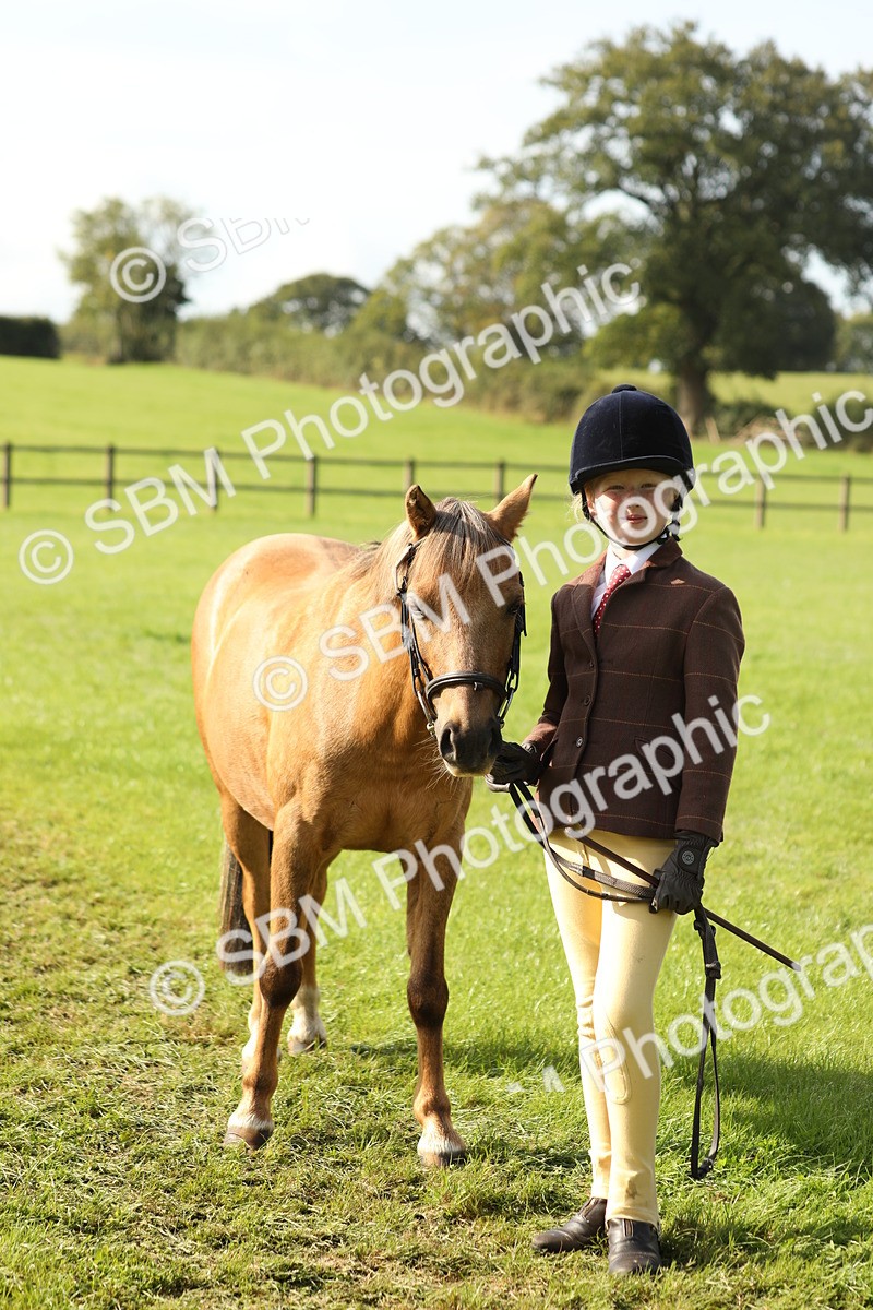 SBM_61018 - S43 - Coloured Pony In Hand