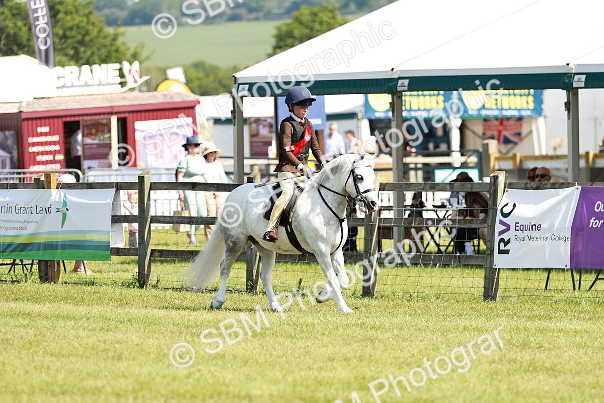 SBM_12835 - Class 106-107 - BSPS LIHS Working Sports Pony