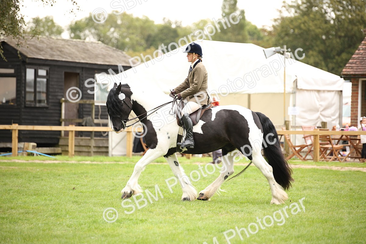 SBM_73520 - S68 - Traditional Cob Ridden