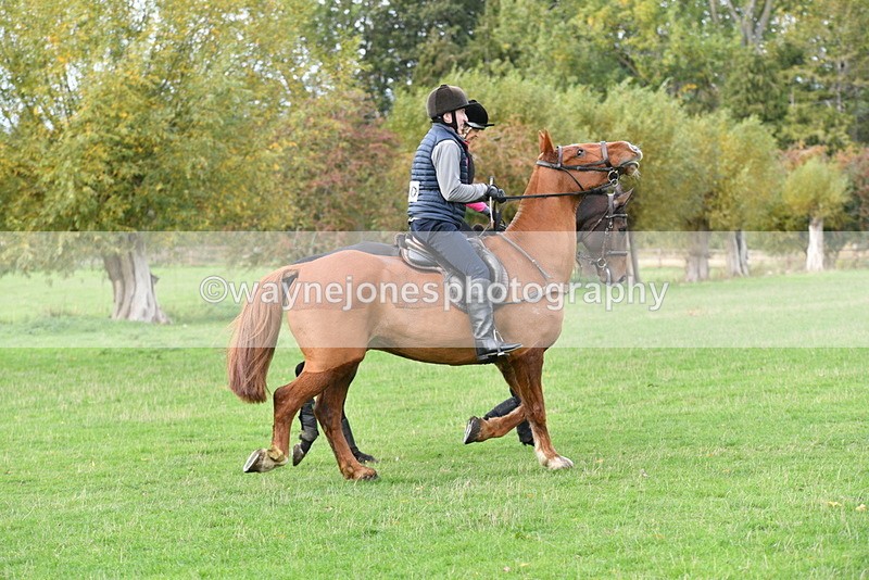 WJ5_0400 - Time 13:59 to 14:28