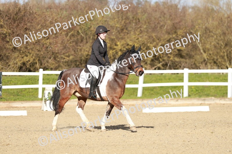 20260314-5288 - DR4 - Prelim 2