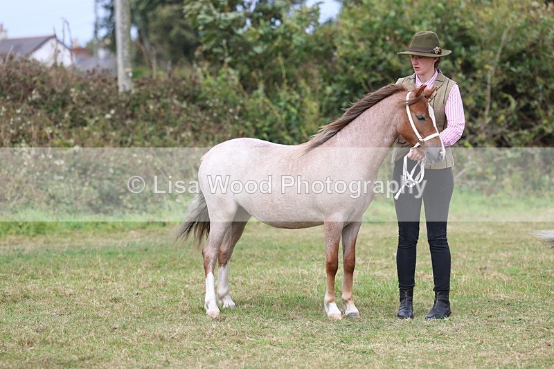 3E7A5405 - Class 19: Best Coloured in Hand