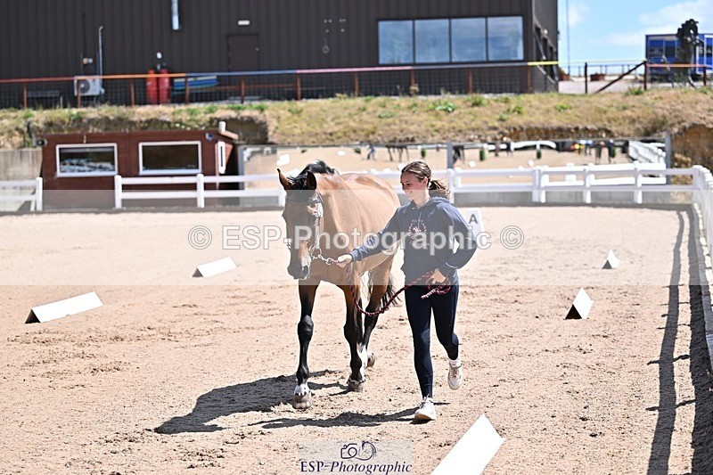 250716-123324-00047 - Trot Up 12.30 to 1.30