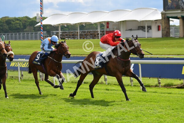 yr22052021r4-29 - Race 4 3.50pm WilliamHill.com Best Odds Guaranteed Stakes