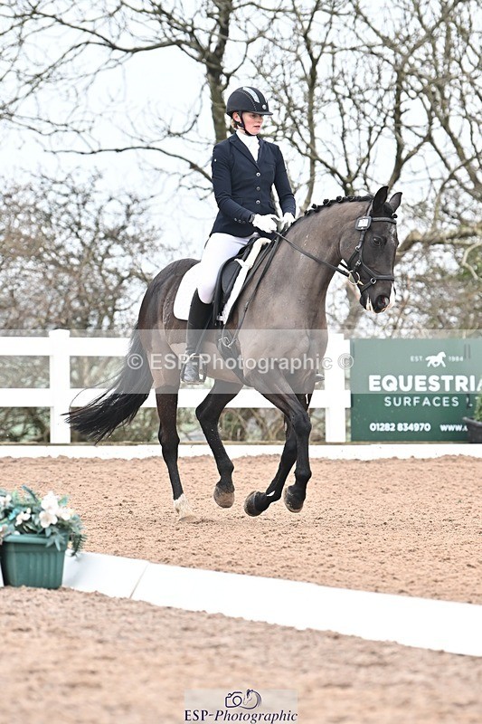 250216-100229-04536 - 120-saska.ingham-Fantasma