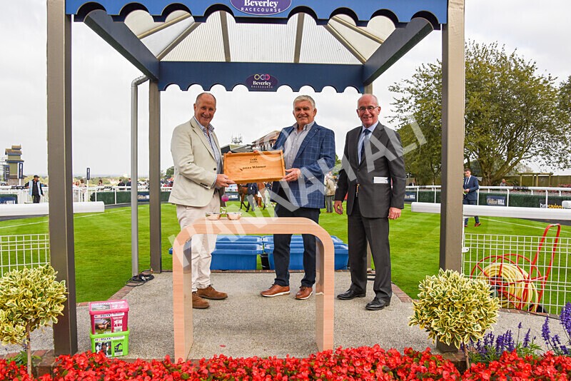 310824-Race 8-This Years Love-2997 - Race 8