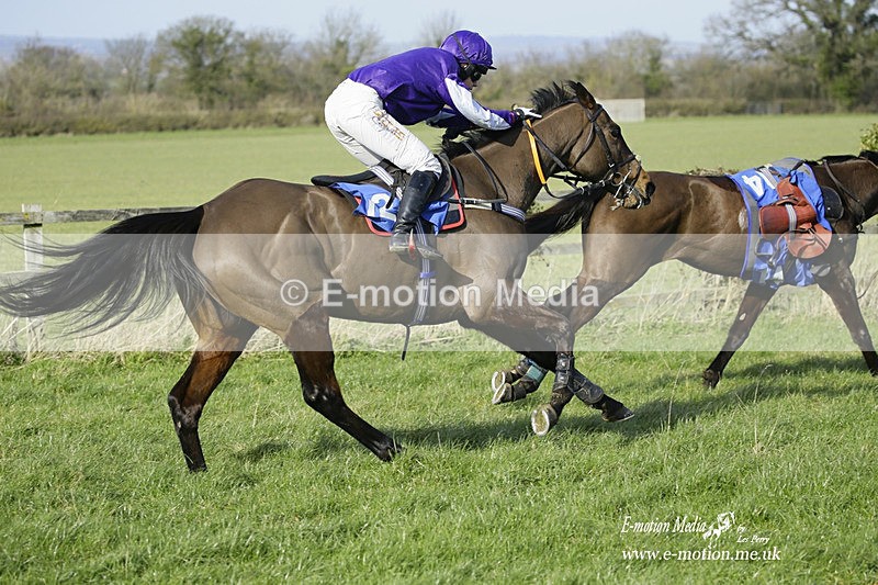 PtP 260222 509 - Kingston Blount Racing Club Point-to-Point 26/02/22