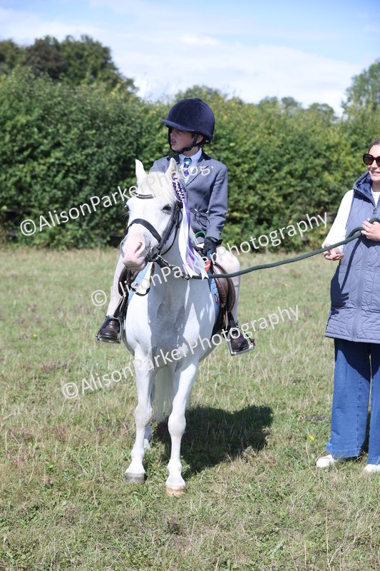 20250831-2572 - Class 16 - Family Pony