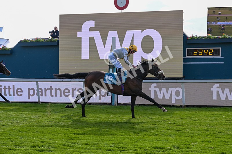 140526-Race 7-Arc Ole Ole-6040 - Race 7 5.15pm Frank Whittle Partnership Handicap