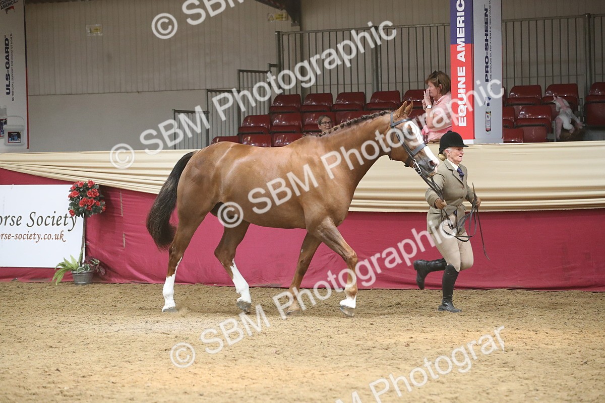 SBM_05512 - Class 9R - Regional IH Pre-Vet