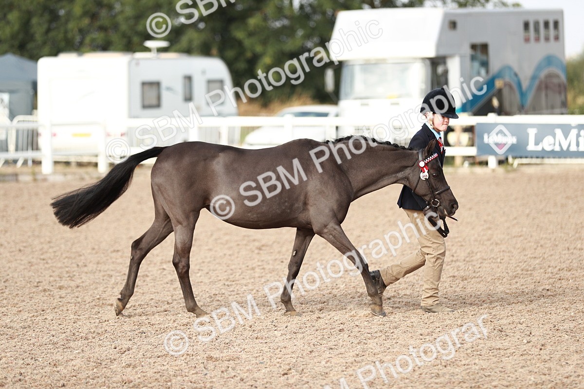 SBM_10487 - Class 204 Young Handler, 11-16 years
