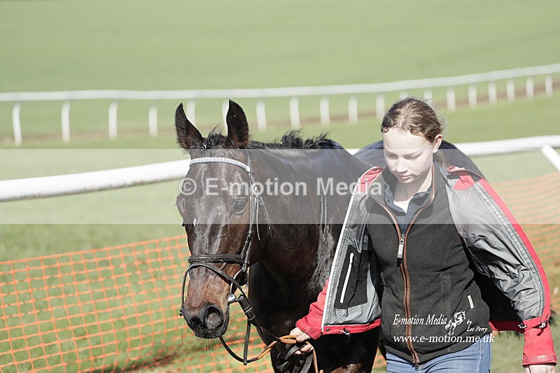 PtP 100423 940 - Old Berkshire Point-to-Point Lockinge 10/04/23
