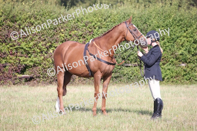 20260906-0688 - Class 22 - Ex Racehorse