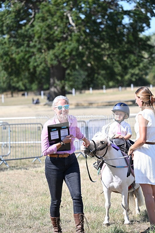 WJ7_1369 - Class 41 Prettiest Mare