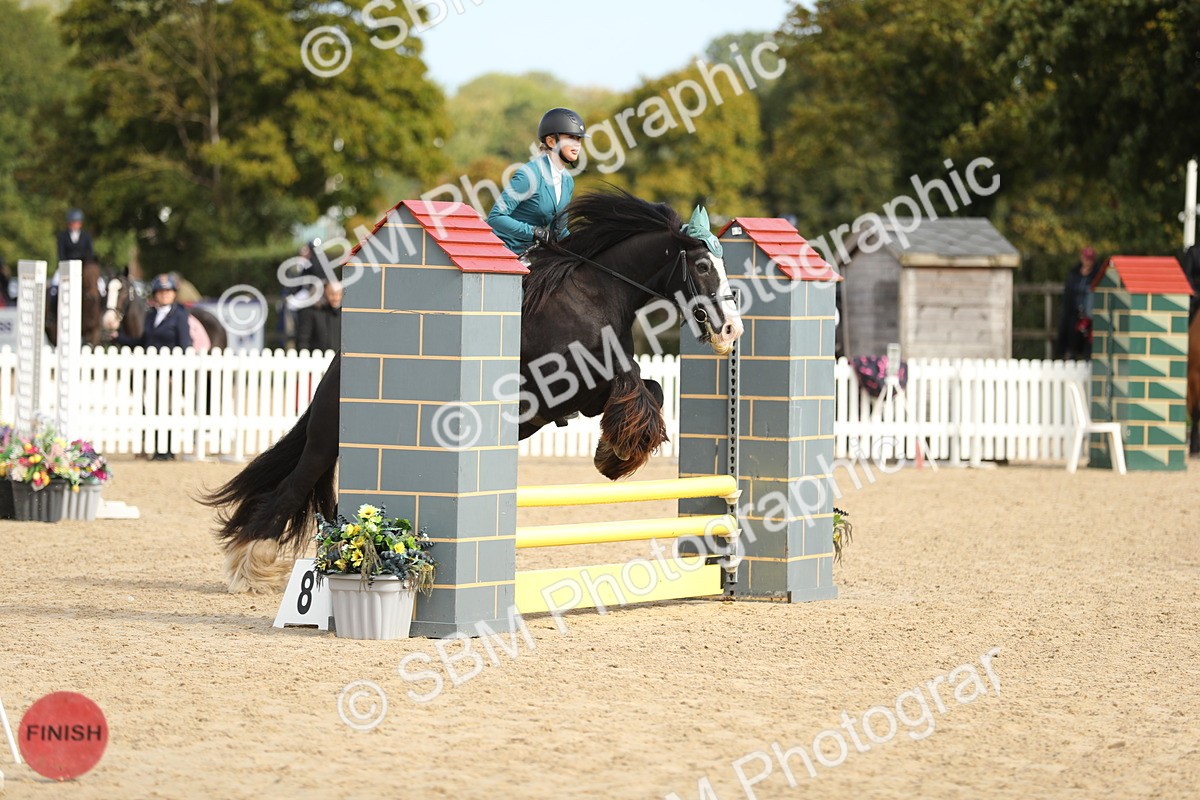 SBM_03155 - J28 - Senior Horse & Pony 60cm Championships