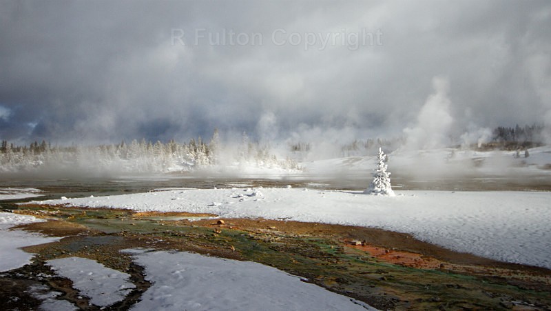 Norris Geyser Basin - Yellowstone