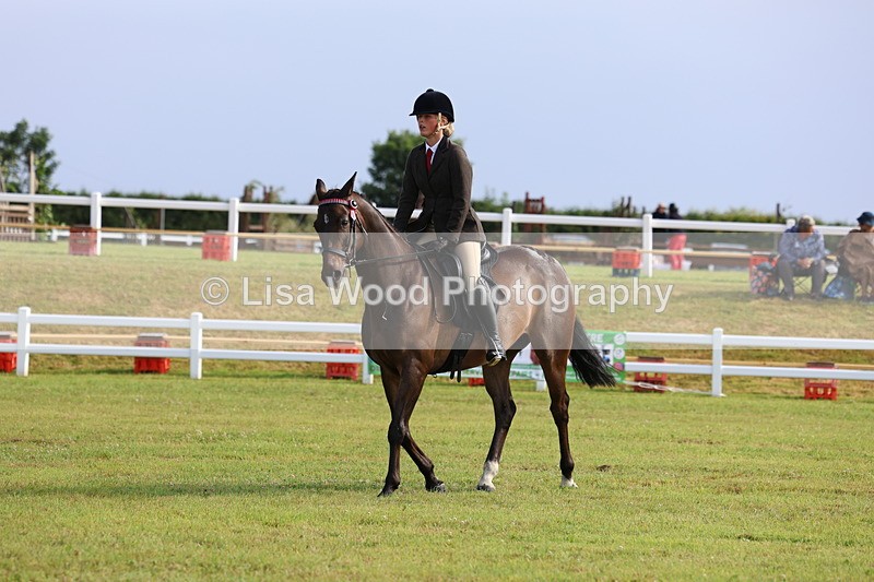 3E7A8267 - Class 2: Rising Star Large Hack/Riding Horse