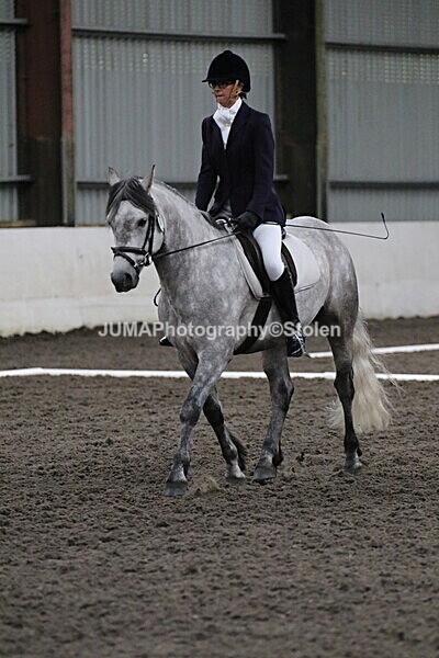 SIAL4064 - CAbin Dressage 5th july 2025