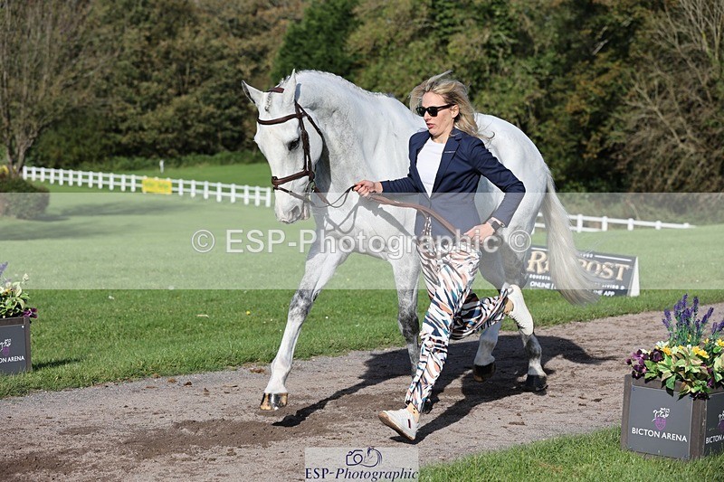 241027-102934-15924 - 593-Abbie.Burbidge-BLUEBIRD