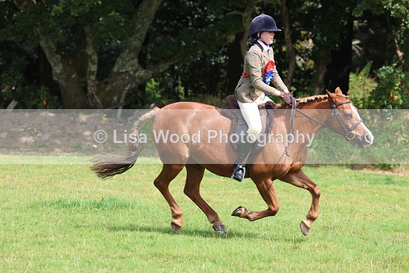 3E7A6106 - Working Hunter Championship