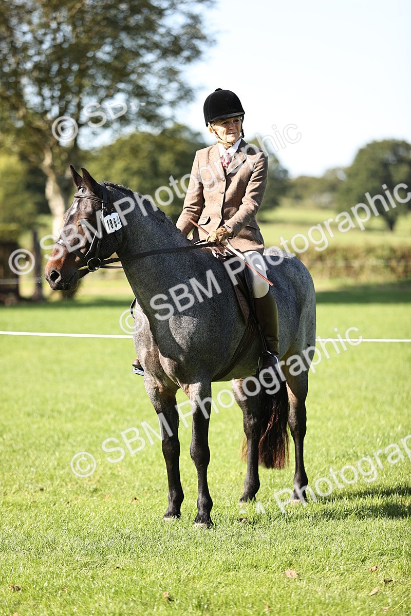 SBM_16921 - S2 - TSR Ridden Pony Showing