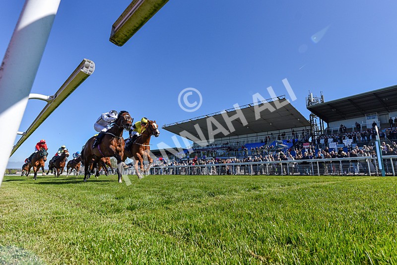 230426-Race 4-A War Eagle-6466 - Race 4