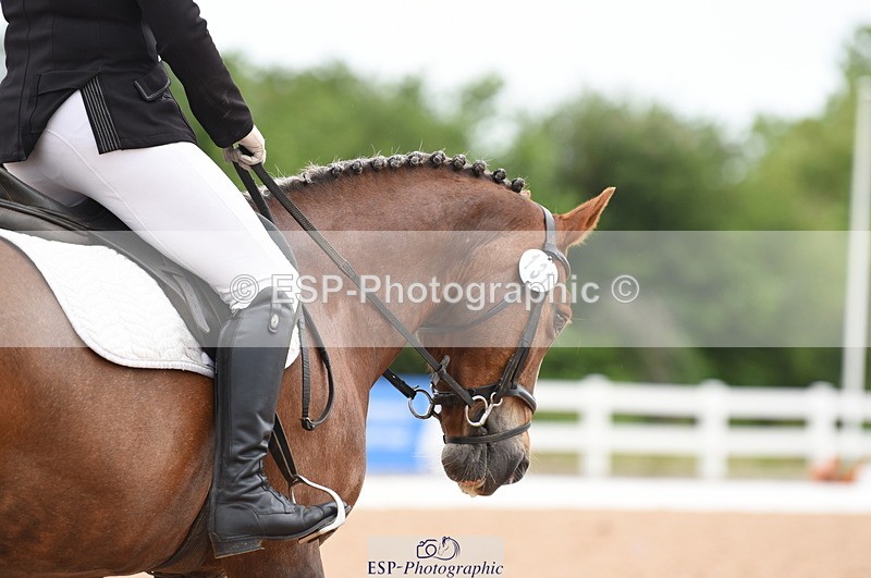 230630A-092906-00493 - Cls 1 Prelim 15