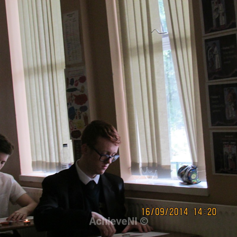  - Peer Mentoring 2014