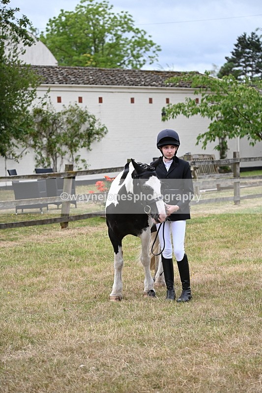 WJ6_4535 - Class 10 Coloured In-hand