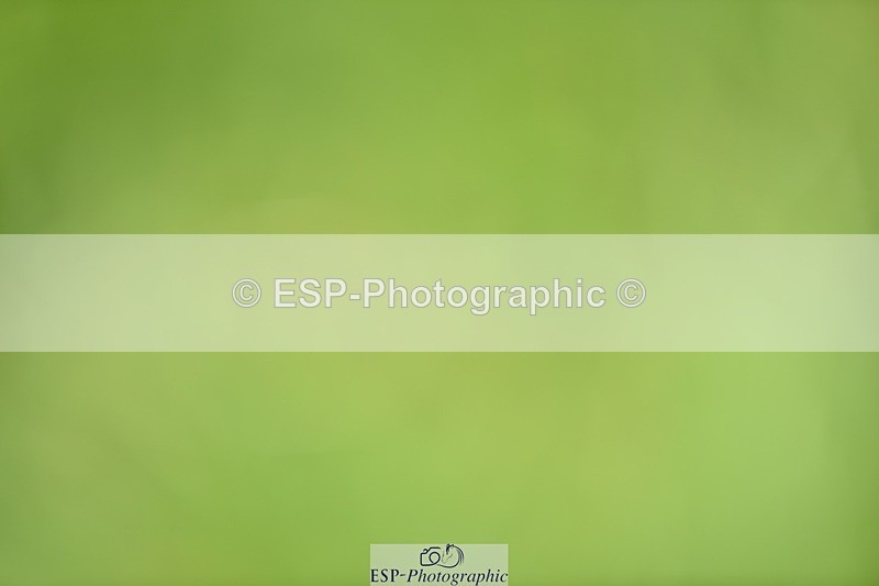 240605-114856-00252 - Cls 3 Novice 23