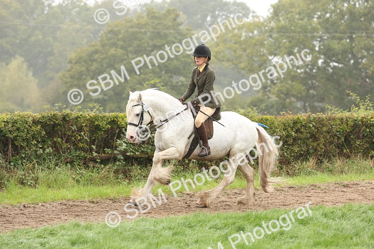 SBM_72722 - S70 - Traditional Cob Ridden
