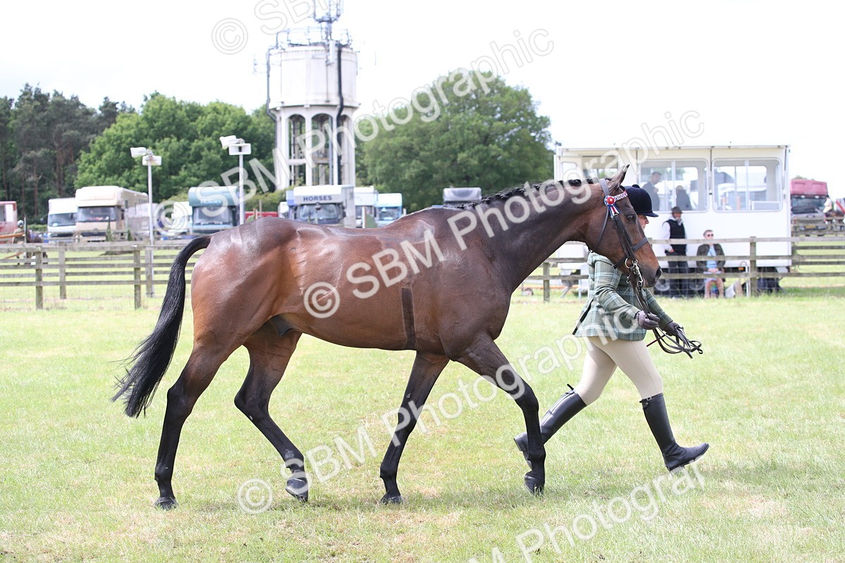 SBM_14240 - Class 113-114 - Retraining of Racehorses Ridden