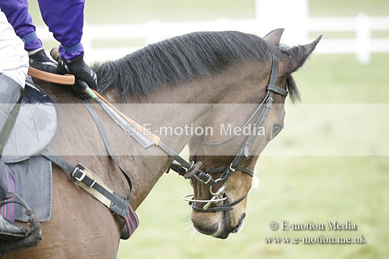 PtP 150320 0277 - New Forest Point-to-Point Larkhill 15/03/20