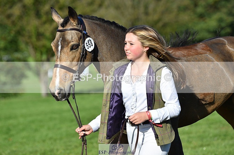 231022-111628-23857 - 558-BATHLEYHILLS.GOLDEN.SPRAY-Cleo.Whitbread-TrotUp+SJ