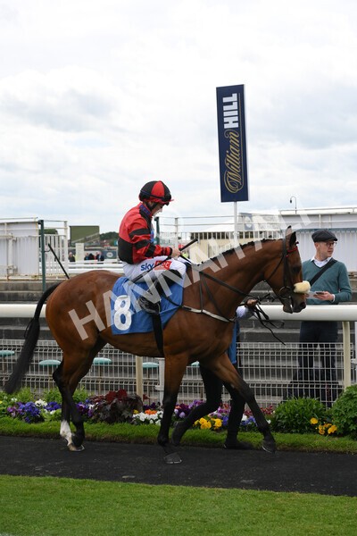 yr21052022r1-8 - Race 1: 1:40pm William Hill Play Responsibly Stakes