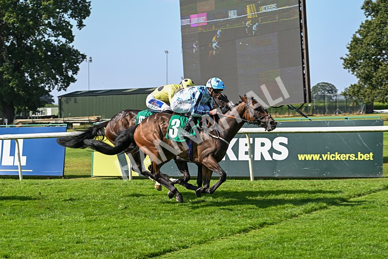 300824-Race 3-Cerulean Bay-5845 - Race 3