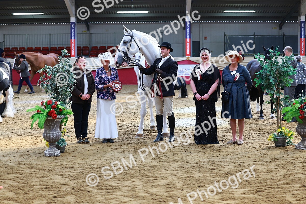 SBM_23286 - Class 903 - Supreme Final - IH Pre Vet