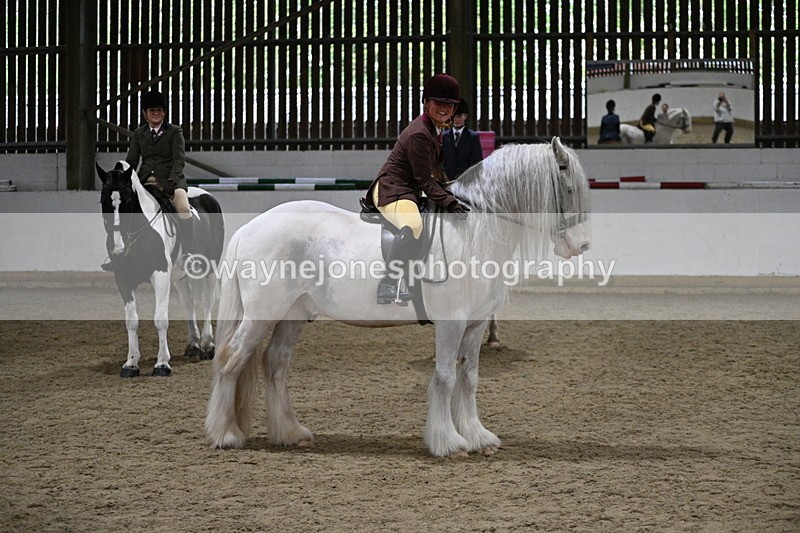 WJ7_4261 - Class 17 Ridden Cob