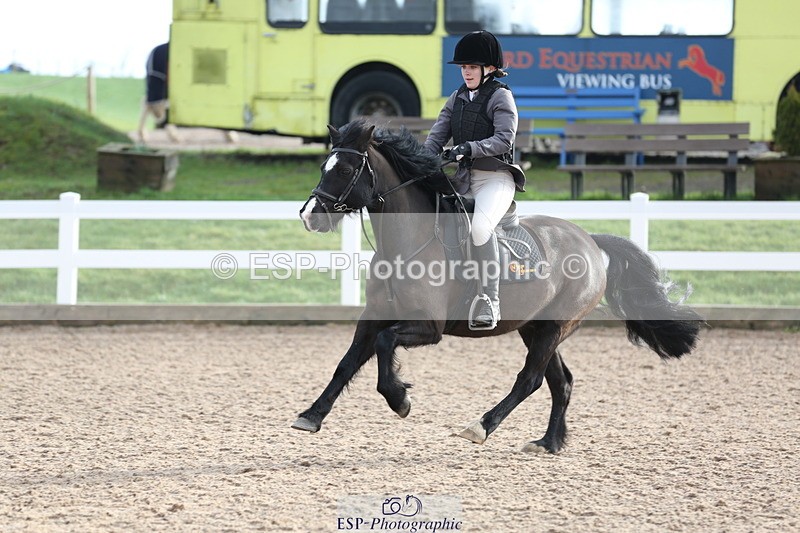 240211A-105209-01958 - Cls 2 Pony British Noivice & 80cm Open