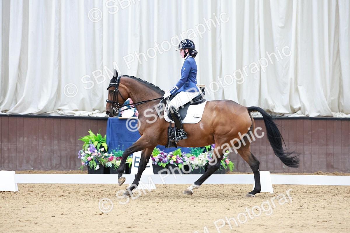 SBM_017892 - Class 15 - FEI Junior