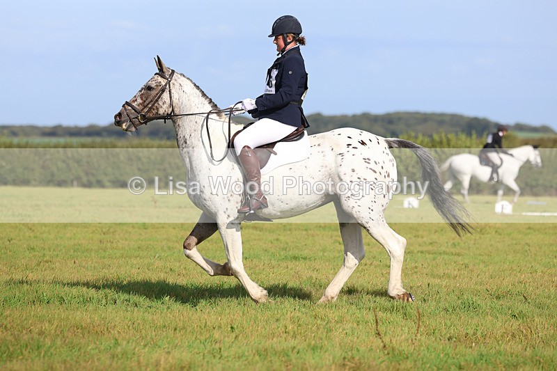 3E7A6062 - Class 1: Trebudannon Open: Dressage (Part 2)