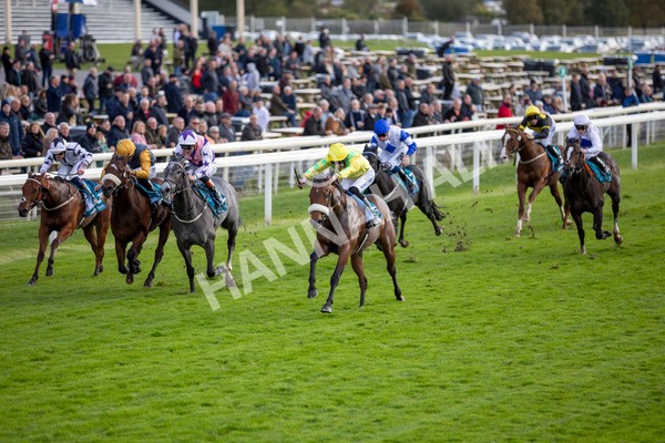 111024-Race 4-End Of Story-6911 - Race 4 3.10pm Parsonage Hotel And Cloisters Spa Nursery Handicap