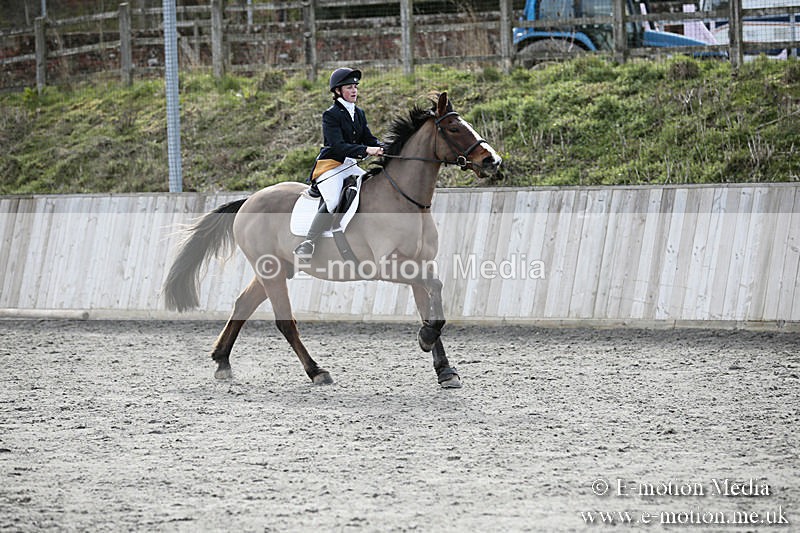 BVRC SJ 170319 724 - Bourne Valley Riding Club Showjumping 17/03/19