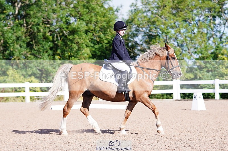 240809A-091406-00185 - Dressage Competition
