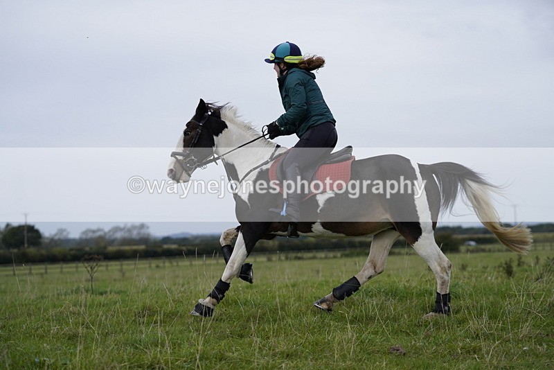 _DSC5472 - Time at Photographer 09:16 to 09:37