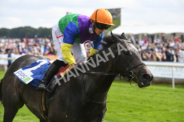 yr11062022r8-30 - Race 8 5.25pm Clean up with PPS Stakes