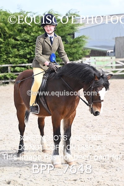 BPP_7648 - RING 1  (RIDDEN HORSES / IN HAND / VETERAN ETC)
