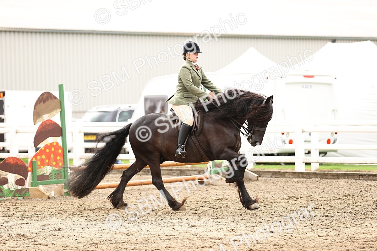 SBM_00564 - Class 53 - Ridden Competition Horse Pony