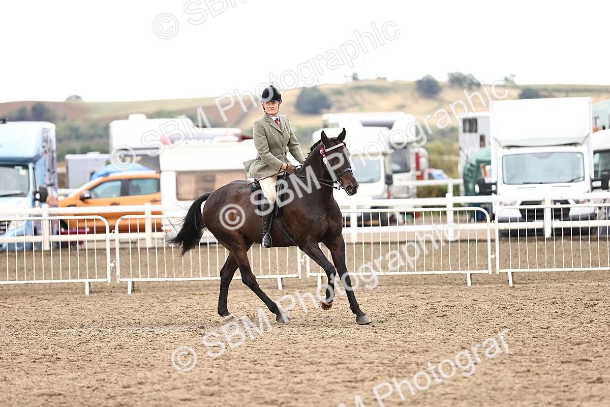 SBM_00635 - Class 53 - Ridden Competition Horse Pony