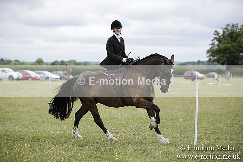 BVR160717-1931 - Side Saddle Classes 16/07/17